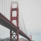 Have tailor made and flexible workforce as you may increase or decrease your workforce capacity based on your business need without affecting your company reputation. While understaffed and overstaffed can both be an issue, laying off employees can potentially ruin a company�s reputation supporting tourism outsourcing benefit