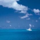 Professional managed tourism support capability